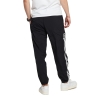 Спортивные Штаны adidas Skateboarding Standard 20 Wind EC3313 (black-white)