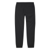 Спортивные Штаны adidas Skateboarding Standard 20 Wind EC3313 (black-white)