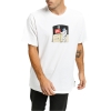 Футболка Nike SB Fake Landing FS Tee CI7609-100 (white-multi-color)