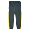 Спортивные Штаны Nike Windrunner Signature Woven Pant CJ5484-364 (seaweed-university gold)