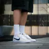 Кеды Nike SB Heritage Vulc CD5010-105 (white-deep royal blue)
