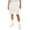 Шорты Nike SB Essential Sunday Short CV4345-113 (coconut milk-light dew)