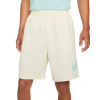 Шорты Nike SB Essential Sunday Short CV4345-113 (coconut milk-light dew)