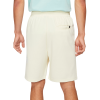 Шорты Nike SB Essential Sunday Short CV4345-113 (coconut milk-light dew)
