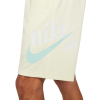 Шорты Nike SB Essential Sunday Short CV4345-113 (coconut milk-light dew)