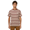 Футболка Dickies Rivergrove Ss Tee DK0A4Y8YL161 (andorra)
