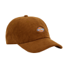Кепка Dickies Hardwick Corduroy Cap DK0A4ZAY0BD1 (brown duck)