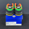 Кеды Nike SB Dunk Low Premium "Green Spark Hoop Orange" 313170-381 (green spark-hoop orange)
