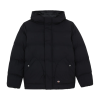 Куртка Dickies Eagleville Hooded Puffer DK0A87OHBLK1 (black)
