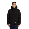 Куртка Dickies Eagleville Hooded Puffer DK0A87OHBLK1 (black)