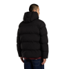 Куртка Dickies Eagleville Hooded Puffer DK0A87OHBLK1 (black)