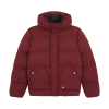 Куртка Dickies Eagleville Hooded Puffer DK0A87OHL161 (andorra)