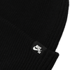 Шапка Nike SB Fisherman Beanie DJ6044-010 (black)