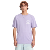 Футболка Volcom Stoneys Bsc Sst A3532552- (purple ash)