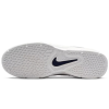Кеды Nike SB Vertebrae FD4691-002 (platinum tint-midnight navy)