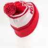 Шапка Anteater Hat Pom ant-hatpom-red (red)