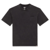 Футболка Dickies Plentywood Ss Tee DK0A866BH861 (acid wash black)