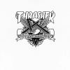 Футболка Thrasher Eaglegram 311616wht (white)