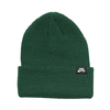 Шапка Nike SB Fisherman Beanie DJ6044-341 (gorge green)