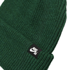 Шапка Nike SB Fisherman Beanie DJ6044-341 (gorge green)