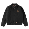 Куртка Dickies X Thrasher Jacket DK0A88CEBLK1 (black)