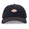 Бейсболка Dickies 6 Panel Logo Cap DK0A4TKVBLK1 (black)