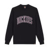 Толстовка Dickies Aitkin Sweatshirt DK0A4XABJ941 (black)