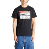 Футболка Thrasher Jake Dish 311595 (black)
