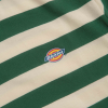 Футболка Dickies Rivergrove Ss Tee DK0A4Y8YPIN1 (pine needle green)
