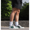Кеды Nike SB Force 58 Prm L DV5476-002 (light bone-malachite-black)