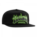 Кепка Thrasher Airbrush Snapback 3131451 (black)
