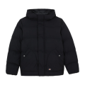 Куртка Dickies Eagleville Hooded Puffer DK0A87OHBLK1 (black)