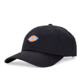 Бейсболка Dickies 6 Panel Logo Cap DK0A4TKVBLK1 (black)