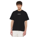 Футболка Dickies Enterprise Tee Ss DK0A4YRNBLK1 (black)