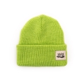 Шапка Ннх Эверест hhx24everest-acid (кислотный)