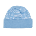 Шапка Postaments Wordz pst-bean-wrdz-skbluwht-24 (sky blue-white)