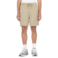 Шорты Dickies Pelican Rapids DK0A4XB2DS01 (desert sand)