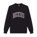 Толстовка Dickies Aitkin Sweatshirt DK0A4XABJ941 (black)
