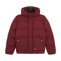 Куртка Dickies Eagleville Hooded Puffer DK0A87OHL161 (andorra) Куртка Dickies Eagleville Hooded Puffer DK0A87OHL161 (andorra)