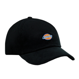 Кепка Dickies Hardwick Corduroy Cap DK0A4ZAYBLK1 (black)