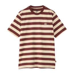 Футболка Dickies Rivergrove Ss Tee DK0A4Y8YL161 (andorra)