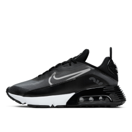 Кроссовки Nike Air Max 2090 CW7306-001 (black-white-wolf grey)