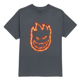 Футболка Spitfire Charred Remains sf26-charcharc (charcoal)