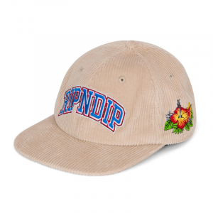Кепка Ripndip Summer Friends 6 Panel Corduroy Snapback RND10131 (tan)