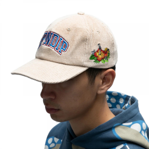 Кепка Ripndip Summer Friends 6 Panel Corduroy Snapback RND10131 (tan)