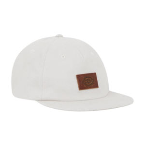Кепка Dickies River Ranch Cap DK0A4Z6JF901 (whitecap gray)