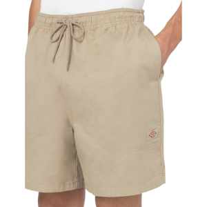 Шорты Dickies Pelican Rapids DK0A4XB2DS01 (desert sand)