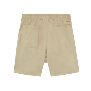 Шорты Dickies Pelican Rapids DK0A4XB2DS01 (desert sand)