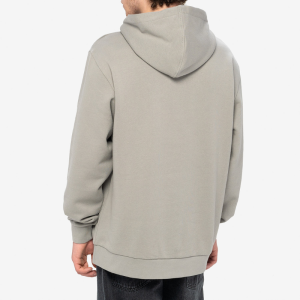 Худи Ripndip F-U Flameboy Embroidered Hoodie RNDWORLD11 (grey)