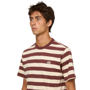 Футболка Dickies Rivergrove Ss Tee DK0A4Y8YL161 (andorra)